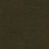 Maxwell RAMBUTAN-NJ #771 FROND Fabric