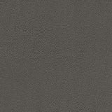 Maxwell RAMBUTAN-NJ #779 GRAPHITE Fabric