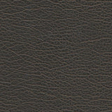 Maxwell SPIRE-NJ #1202 GRAPHITE Fabric