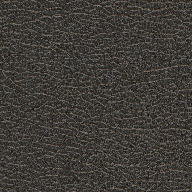 Maxwell SPIRE-NJ #1202 GRAPHITE Fabric