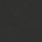 Maxwell TEBESSA-NJ #141 ONYX Fabric