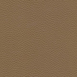 Maxwell TEBESSA-NJ #145 COCONUT Fabric