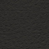 Maxwell TWITTER-NJ #291 JET Fabric