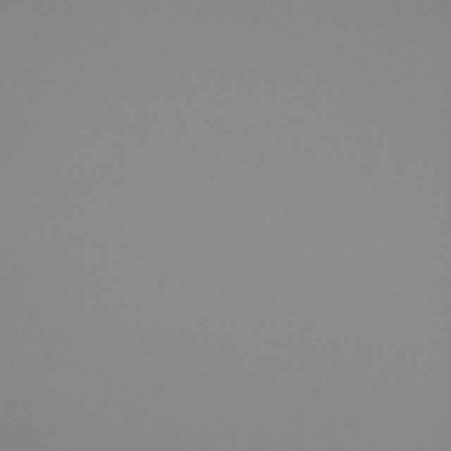 Maxwell TRAILRIDER #116 DAWN Fabric