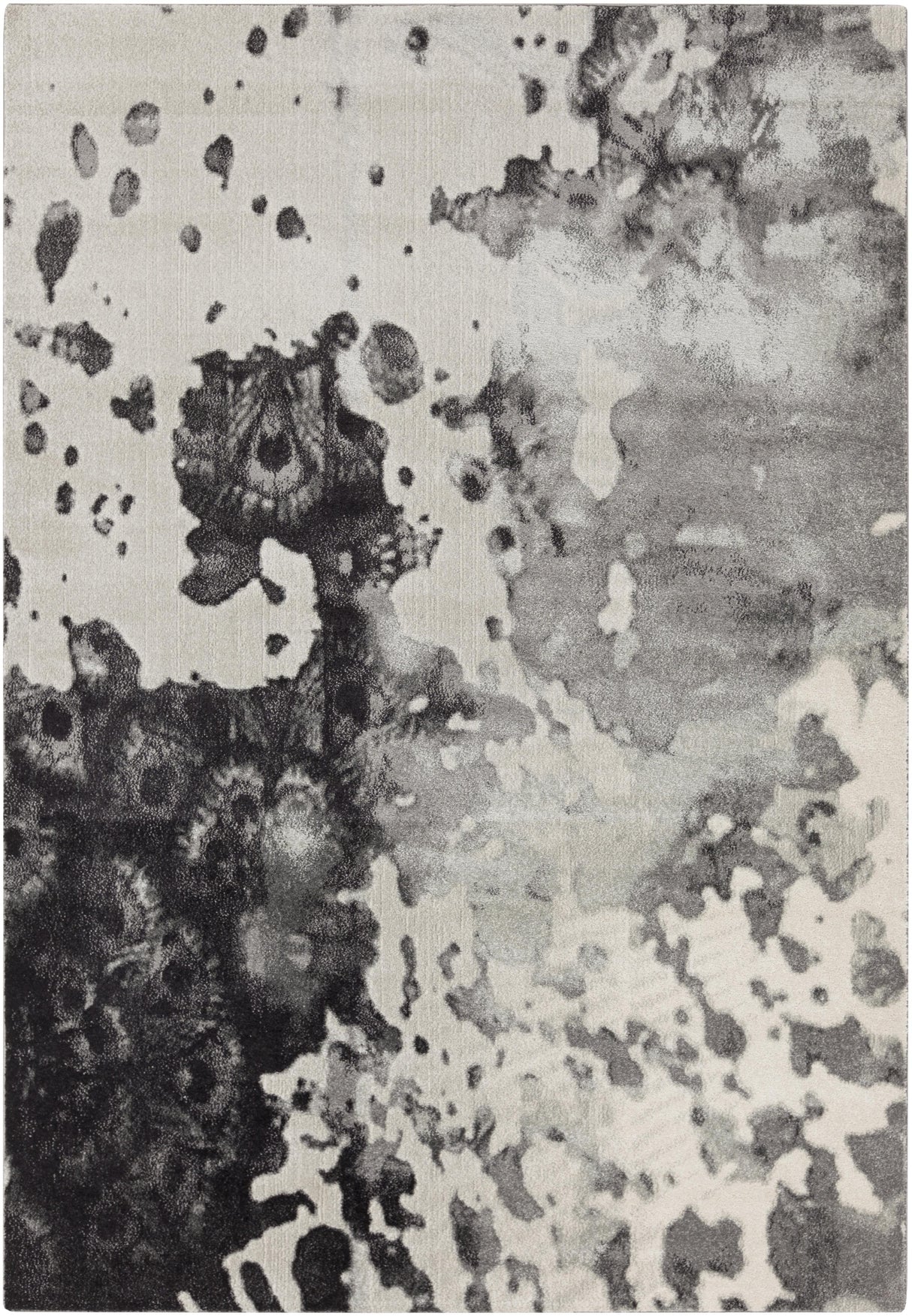 Surya Aberdine ABE-8016 2'2" x 3' Rug