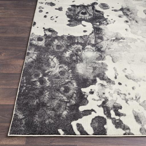 Surya Aberdine ABE-8016 2'2" x 3' Rug