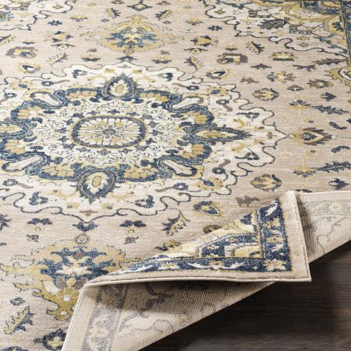 Surya Athens AHN-2305 2' x 2'11" Rug