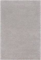 Surya Austin AUS-2305 2' x 3' Rug