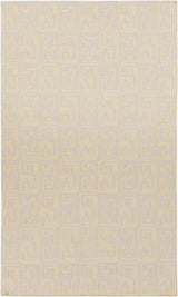 Surya Frontier FT-527 Light Gray;Wheat 3'6" x 5'6" Rug