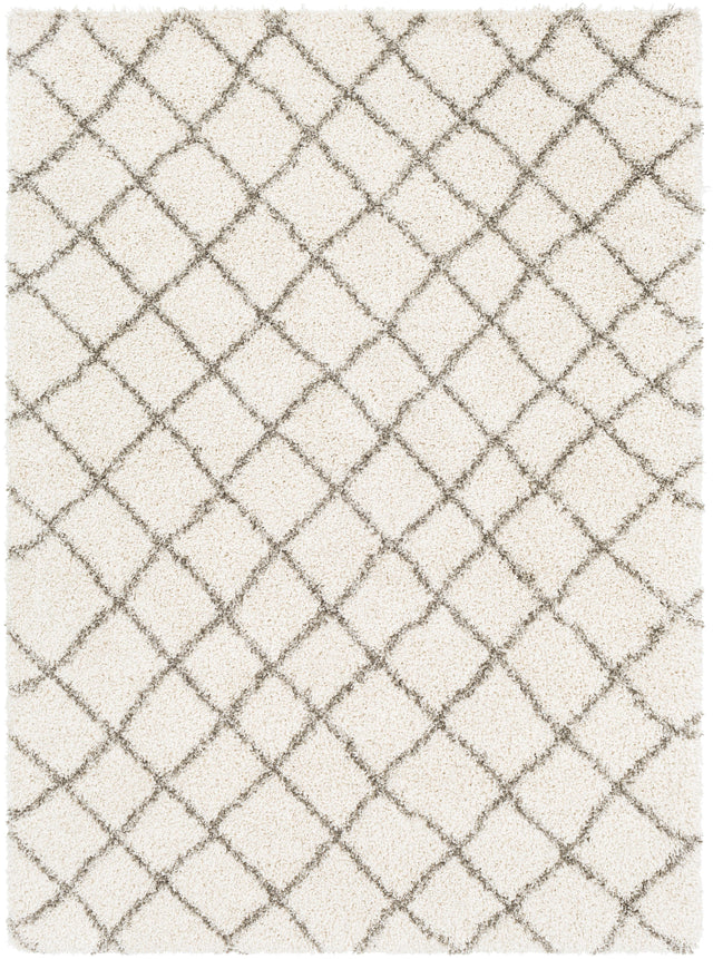 Surya Kodiak KDK-1028 2' x 3' Rug