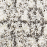 Surya Mercer MCR-2000 2' x 3'7" Rug