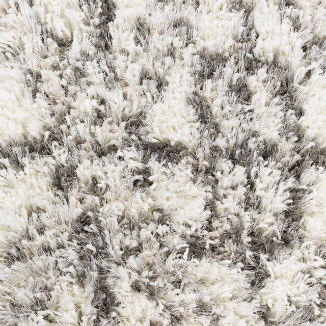 Surya Mercer MCR-2000 2' x 3'7" Rug