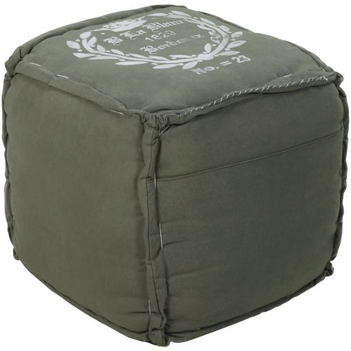 Surya Bonjour POUF-57 18"H x 18"W x 18"D Pouf