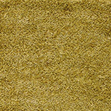 Surya Quito QUI-1005 8' Square Rug