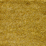 Surya Quito QUI-1005  8' x 8' Rug