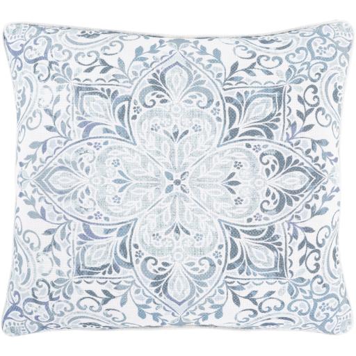 Surya Roxana RXN-006 22"H x 22"W Pillow Cover