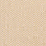 Surya Ravena RVN-3116 Light Beige;Light Olive 3'3" x 5'3" Rug