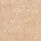 Surya Shibui SH-7420 Beige;Mustard 5' x 8' Rug