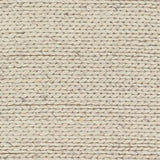 Surya Toccoa TCA-202 3'3" x 5'3" Rug