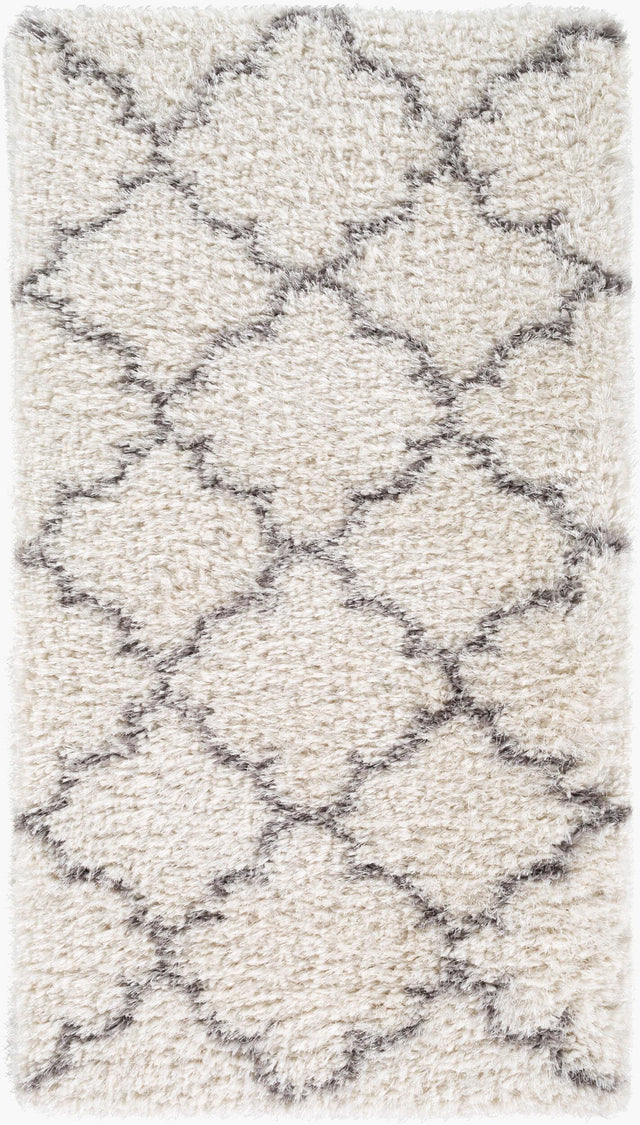 Livabliss Winfield WNF-1002 2'4" x 7'10" Machine Woven Rug