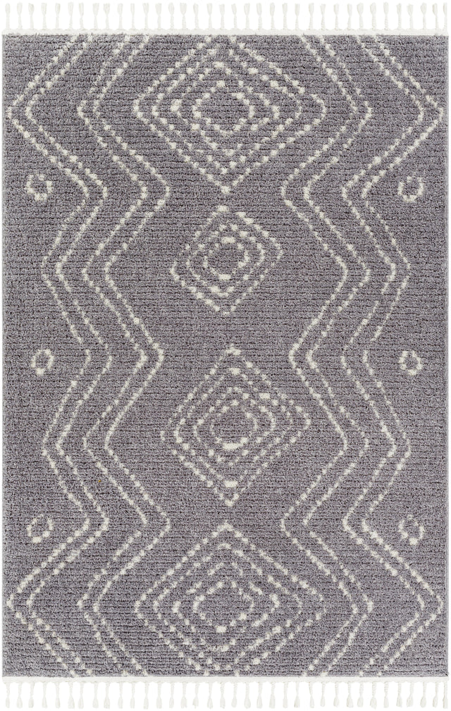 Surya Casablanca Shag CAG-2314 9'2" x 12' Rug