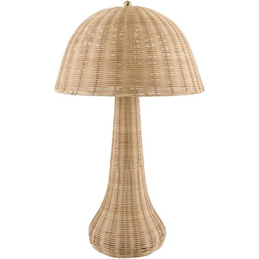 Surya Ripa RPA-002 30"H x 18"W x 18"D Lamp