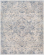 Livabliss Palazzo PZL-2304 3'3" x 4'11" Machine Woven Rug