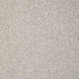 Kravet TERRASSA OYSTER Upholstery Fabric