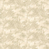 Brewster Home Fashions Lacey Celery Vines Wallpaper