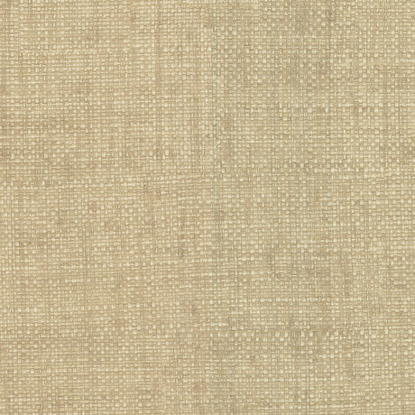 Brewster Home Fashions Warner Textures Warner Grasscloth Resource 2807-87917 Beige Wallpaper