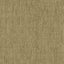 Brewster Home Fashions Fairwinds Studio Piazza 290-51715 Gold Wallpaper