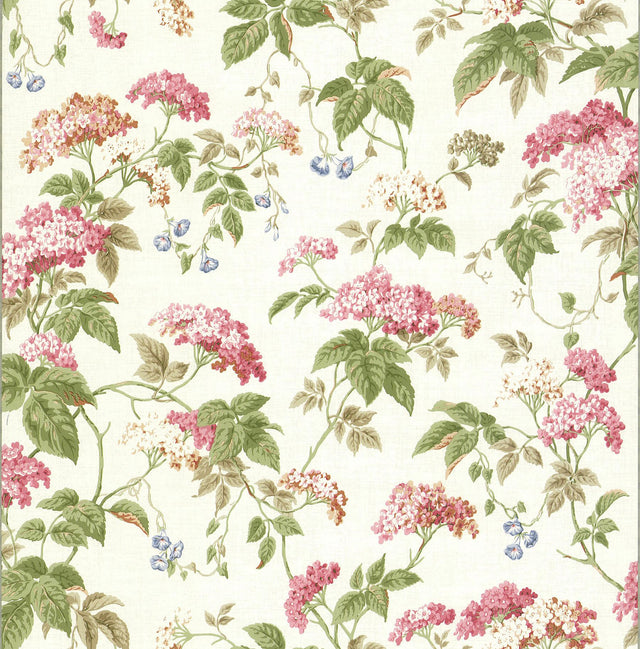 Brewster Home Fashions 402-64068 Multicolor Sidewall