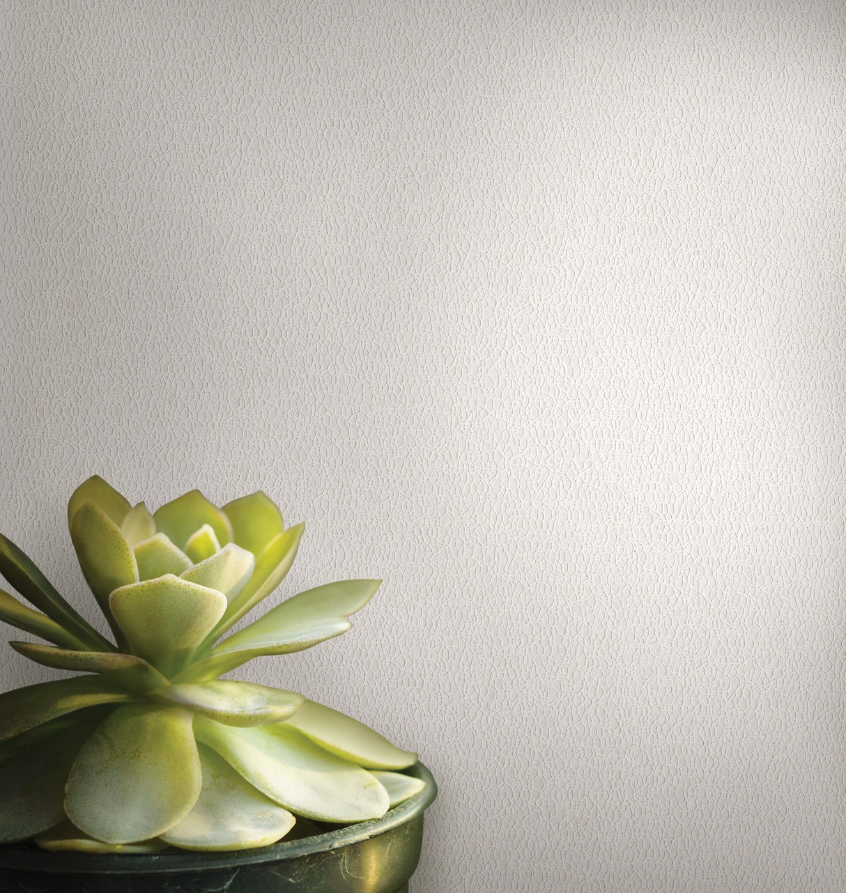 Brewster Home Fashions Warner Dimensional Accents Abstract Platinum Wallpaper