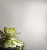 Brewster Home Fashions Warner Dimensional Accents Abstract Platinum Wallpaper