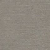 Winfield Thybony RADIUS STORM Wallpaper