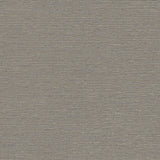 Winfield Thybony RADIUS STORM Wallpaper