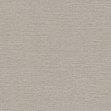 Winfield Thybony RADIUS SILT Wallpaper