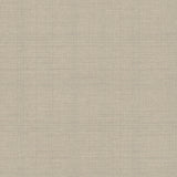 Winfield Thybony TANNIN TRACE MICA Wallpaper