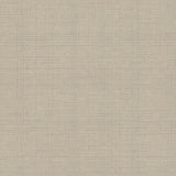 Winfield Thybony TANNIN TRACE MICA Wallpaper