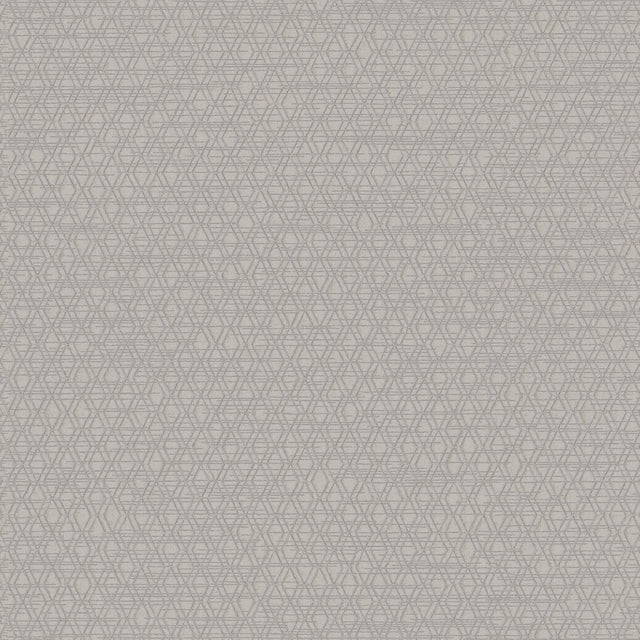 Winfield Thybony ARCHETYPE BARK Wallpaper