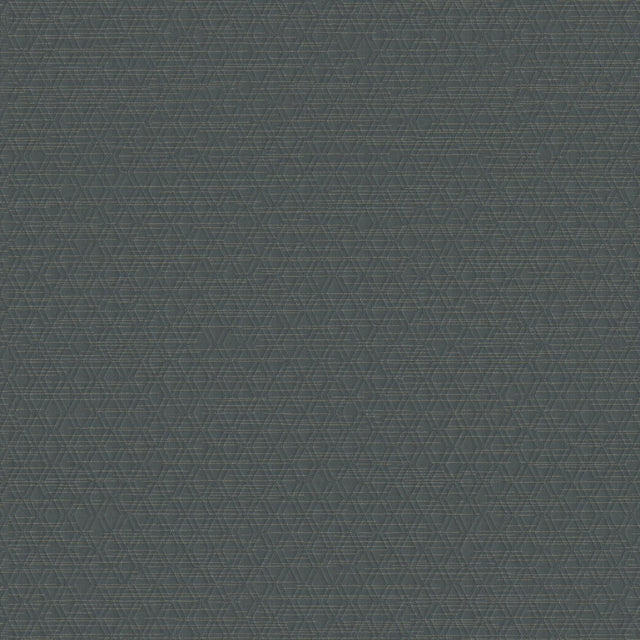 Winfield Thybony ARCHETYPE HORIZON Wallpaper