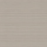 Winfield Thybony SALANA DOVE Wallpaper