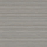 Winfield Thybony SALANA OWL Wallpaper