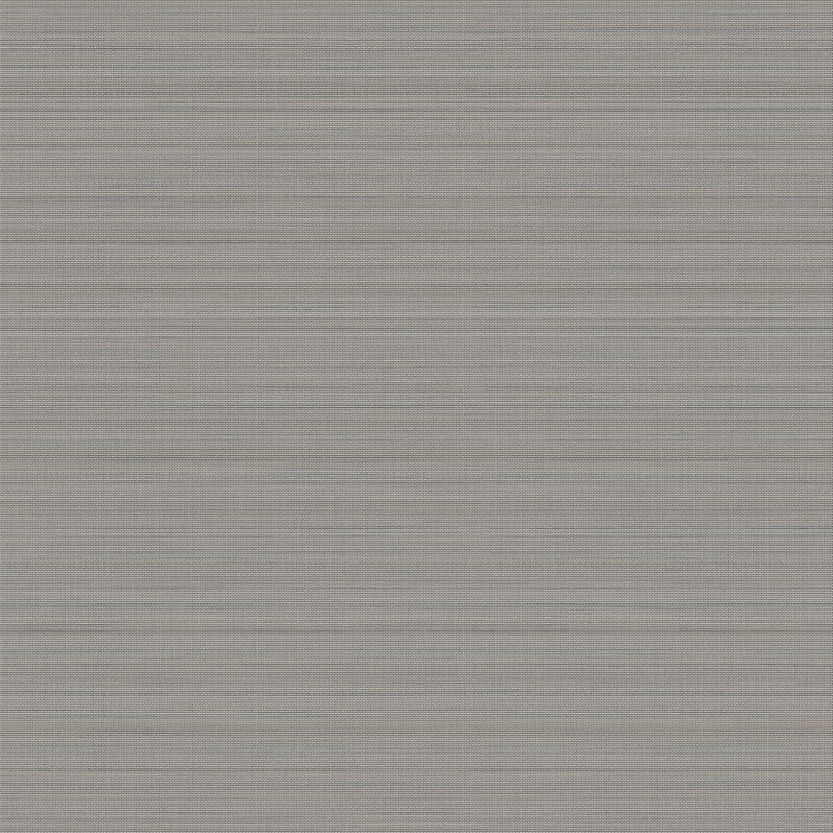 Winfield Thybony SALANA OWL Wallpaper