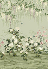 Maxwell WISTERIA BLOOM (WP) #03 PISTACHIO Wallpaper