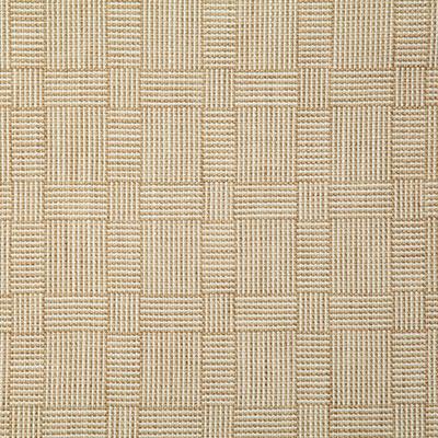 Pindler RUBEN SAND Fabric