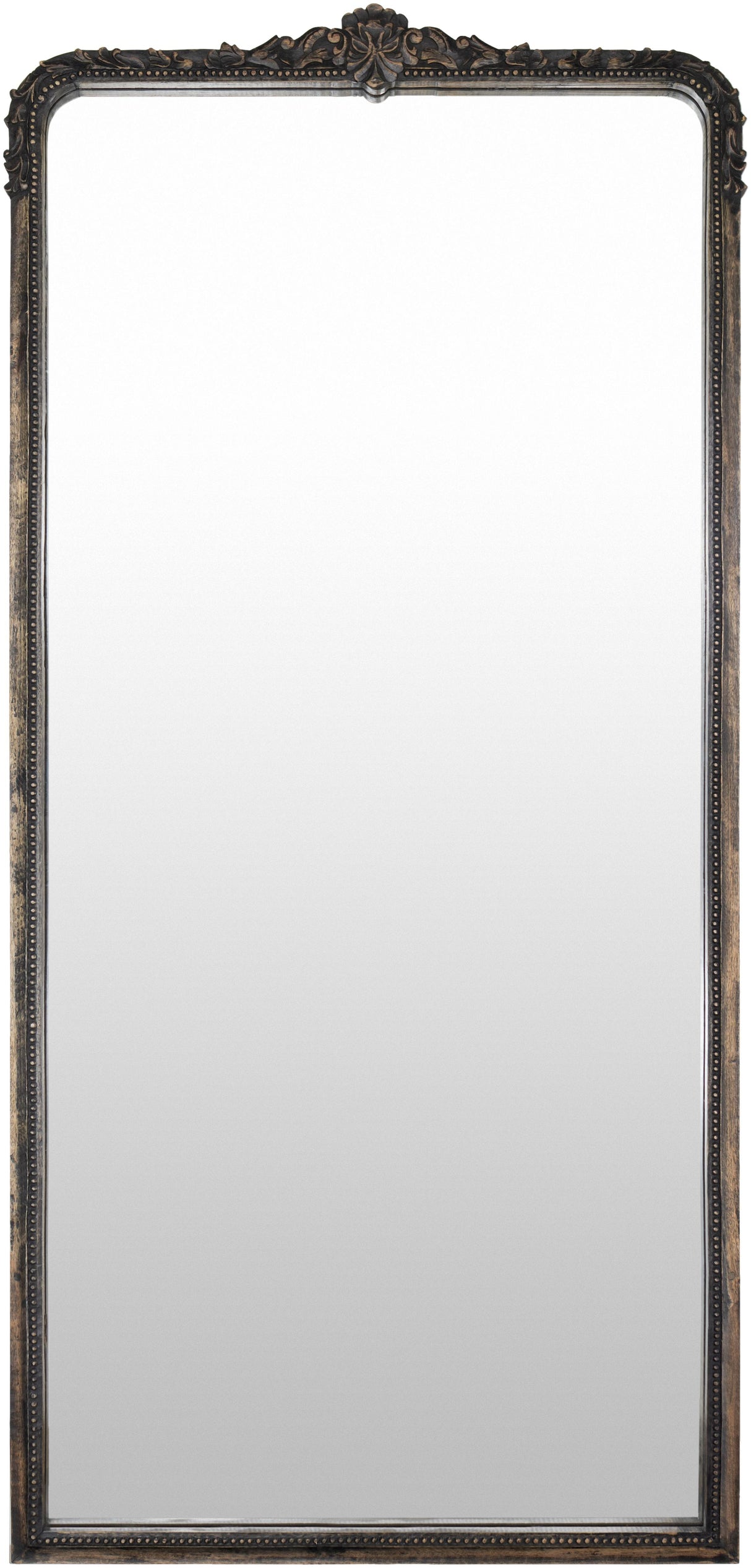 Surya Aaliyah AALI-003 70"H x 33"W x 2"D Mirror