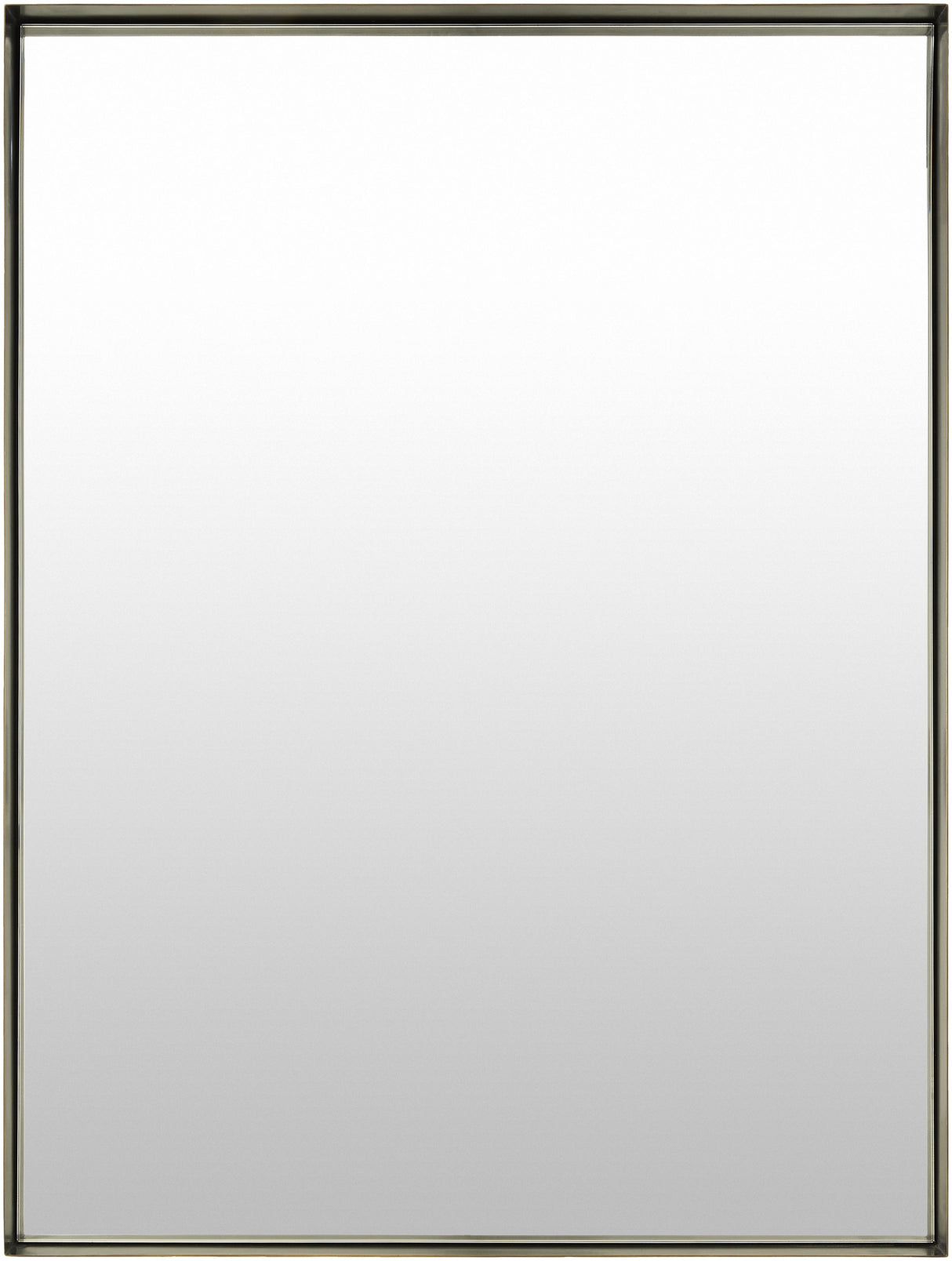 Surya Amvria AMVR-001 40"H x 30"W x 2"D Mirror