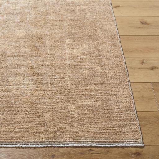 Surya Fetscher GAHU-2302 2'2" x 3'9" Rug