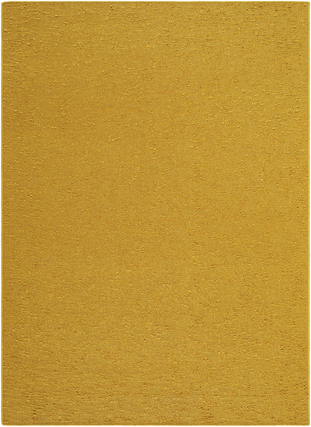 Surya Lush LSH-2303 27" x 45" Rug